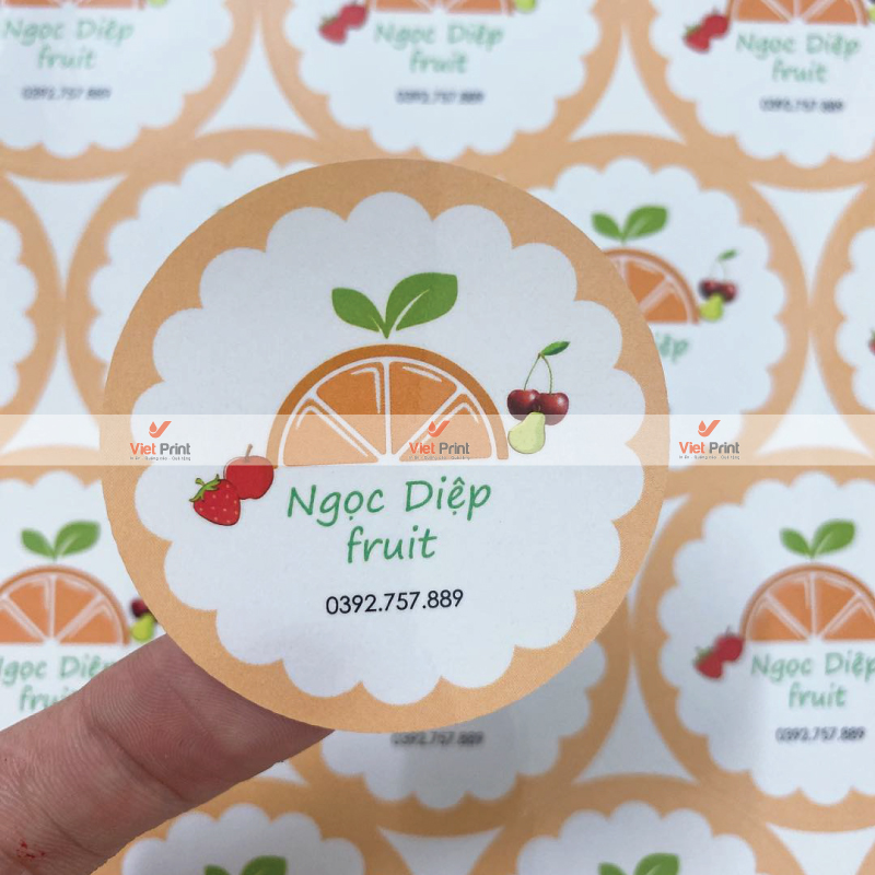 In Tem Nhãn Tại Hải Phòng Chuyên Nghiệp – Đa Dạng Mẫu Mã